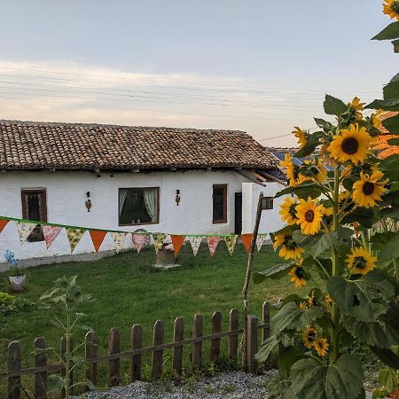 Serendipity Cottage Palamartsa Palamarza Exteriér fotografie